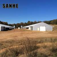 commercial cheap automatic poultry farm shed with equipment for broilers