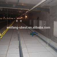 Best quality poultry chain feeding system for chicken house equipment