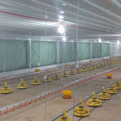 china broiler poultry farm design