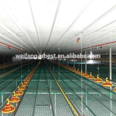 Philippines House Design Tunnel Ventilation Poultry Shed Automatic Farm Equipment Feeding/Drinking/Fan for Farming Chickens