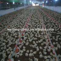 Poultry farm equipment for chicken house