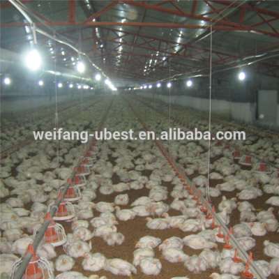 automatic broiler feeder and drinker for chicken