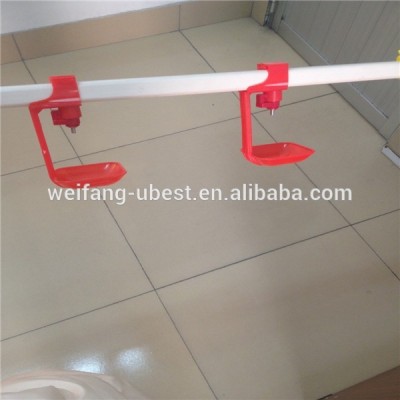 Animal drinker for poultry chicken equipment