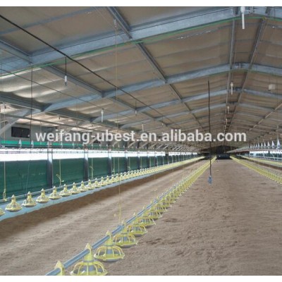 Turnkey environmental controlled poultry farm design layout for chicken shed