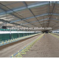 Turnkey environmental controlled poultry farm design layout for chicken shed