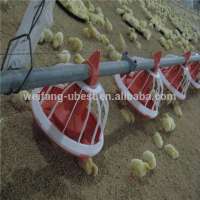 high quality broiler chicken machine chicken broiler farm house