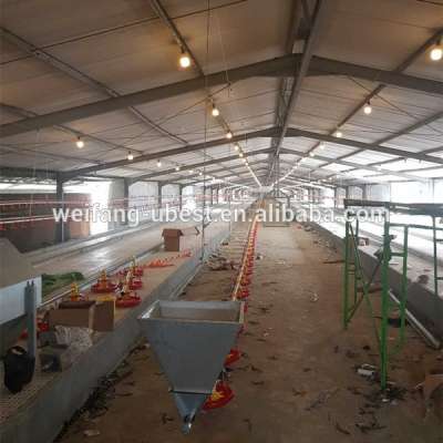 Hot sale chicken parent breeder equipment/poultry chain feeding system