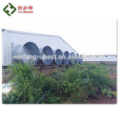 modern low price Poultry Farm chicken Buildings shed for sale