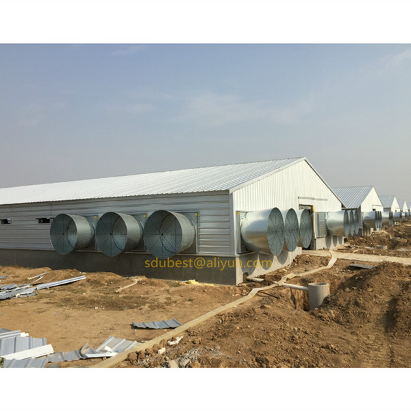 Chinese steel structure building prefab chicken house poultry farm