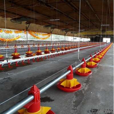 poultry farm equipment price broiler farms in argentina