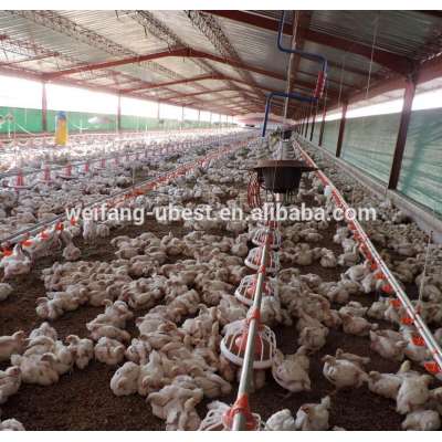 plastic slatted flooring for poultry broiler house equipment